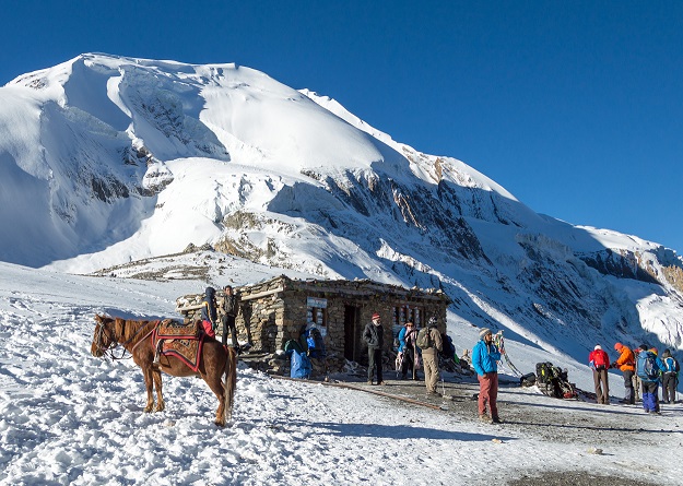 Tourists and horse at Thorong La pass tea house