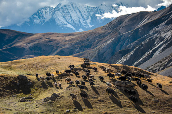 Shey Phuksundo National Park