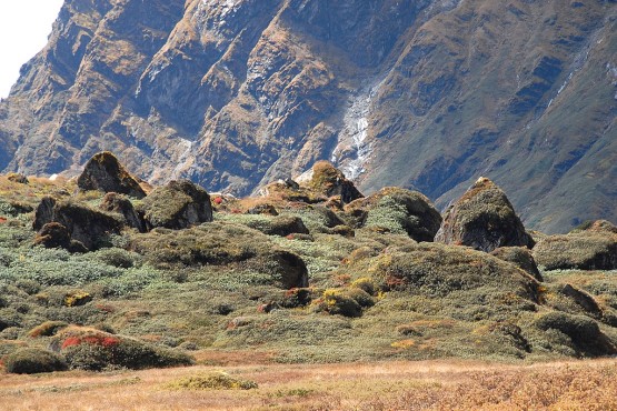 Makalu Barun National Park
