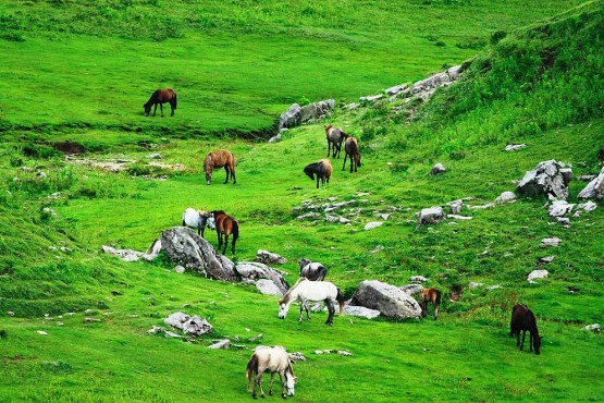 Khaptad National Park