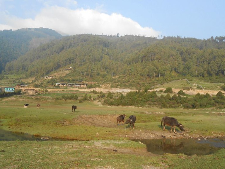 Dhorpatan Hunting Reserve