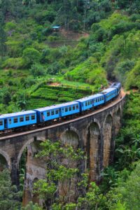 Blue train crossing the Nine Arches Bridge through a lush green valley near Ella